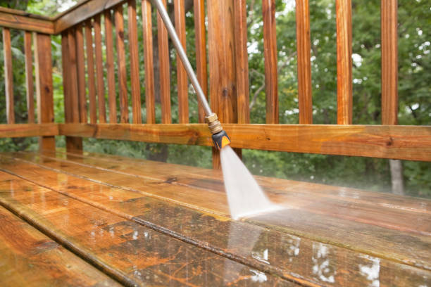 Best Affordable Power Washing  in Zilwaukee, MI